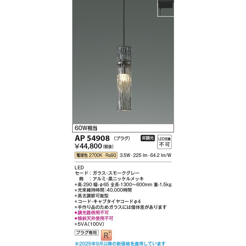 KOIZUMI（コイズミ） AP54908 ペンダントライト LED交換不可 非調光