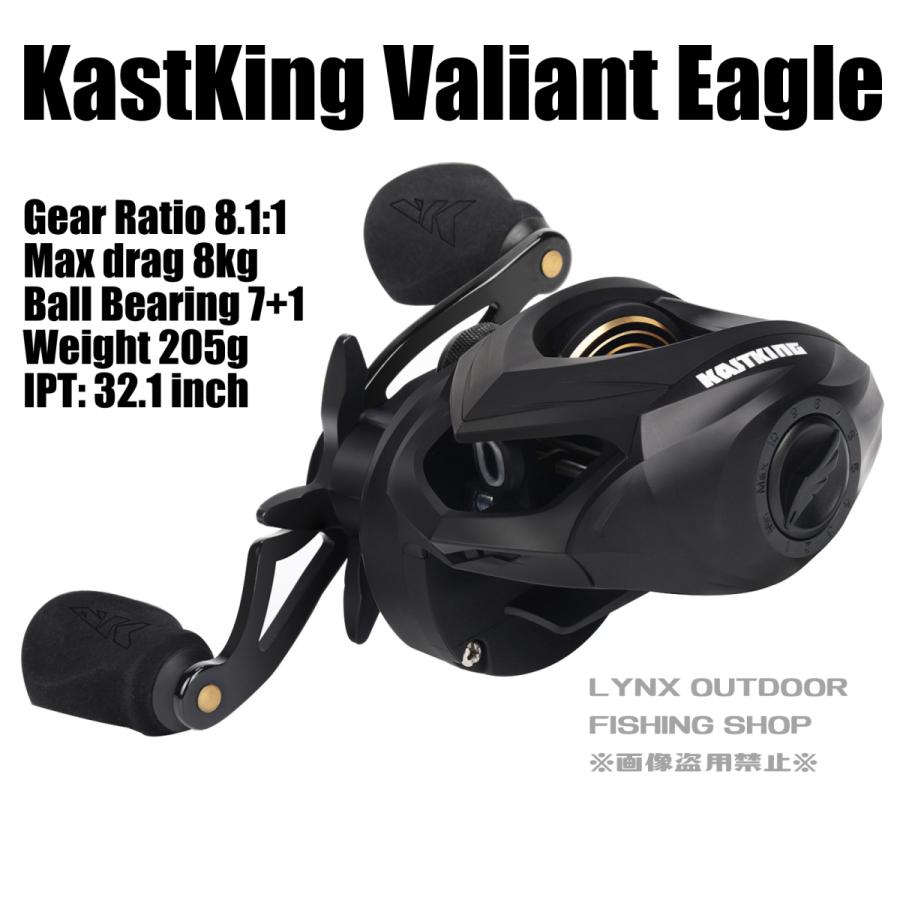 KASTKING（カストキング） KastKing Valiant Eagle Baitcasting Reel