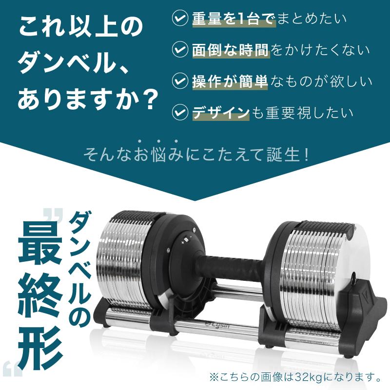 レビュー投稿で2年保証） ライシン ヘリックスミラー 1kg刻み 32kg 2個
