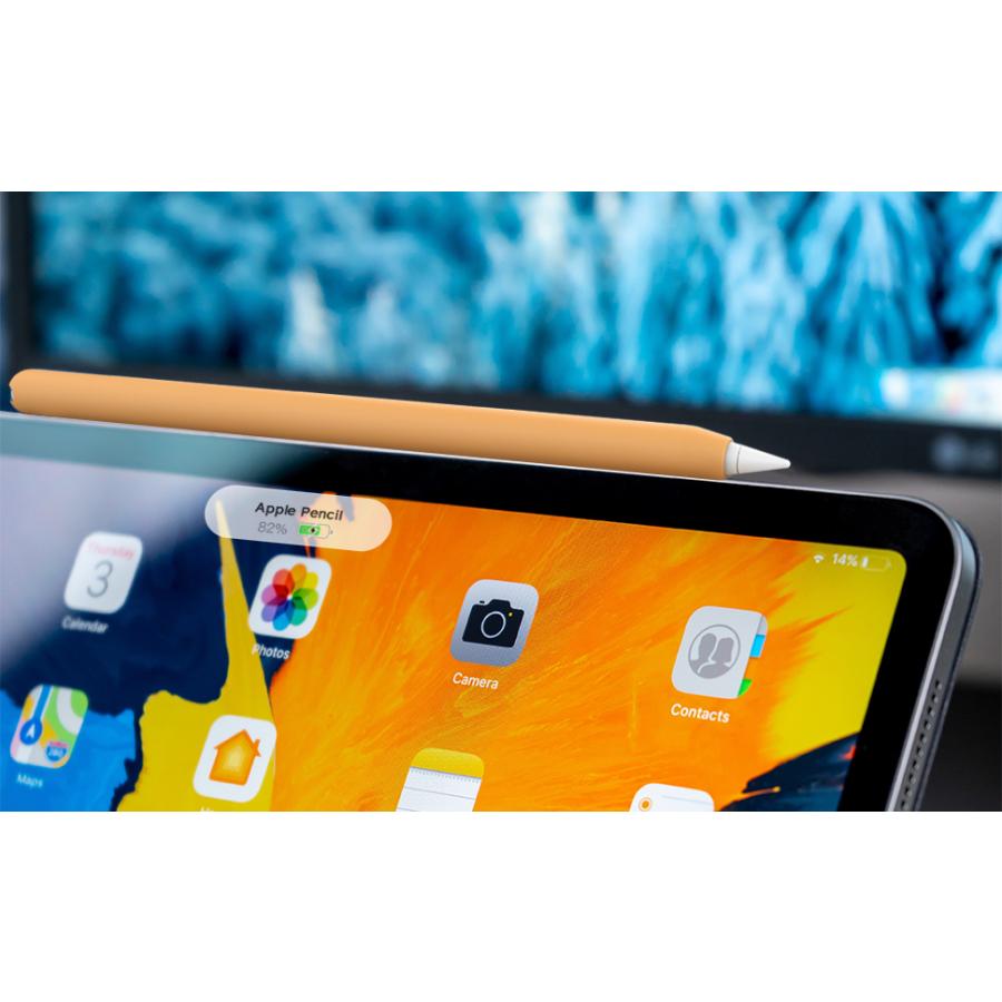 AHAStyle Apple Pencil Pro 第2世代 カバー ケース 2本入り アップル