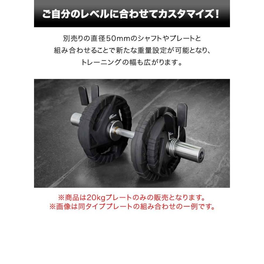 ダンベルプレート 穴あき 20kg 2枚セット 穴径50mm 追加 バーベル用