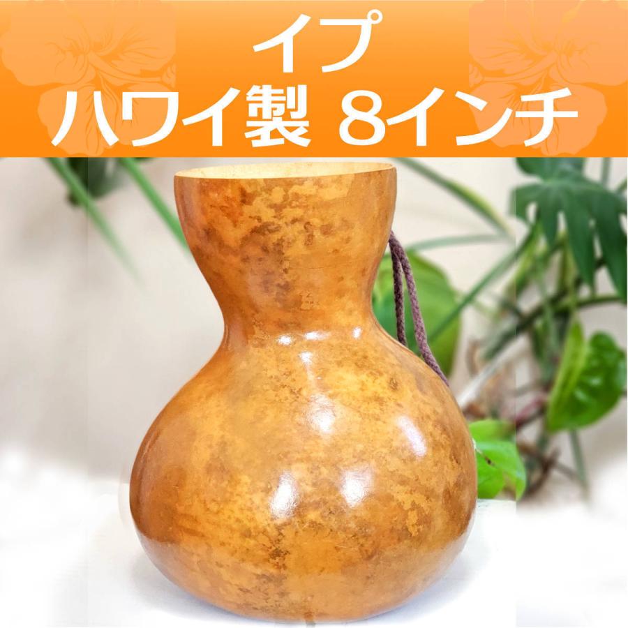 ハワイアン フラダンス 楽器 イプ ヘケ オレ 8インチタイプ (Mサイズ