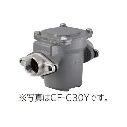 日立（HITACHI） ポンプ GF-C30Y 砂こし器 配管口径30mm 鋳鉄製 ※GF