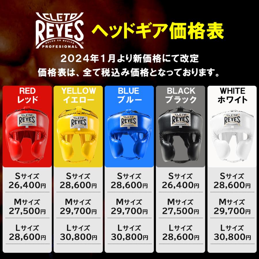 Reyes（レイジェス） ボクシング ヘッドガード 本革製 ヘッドギア