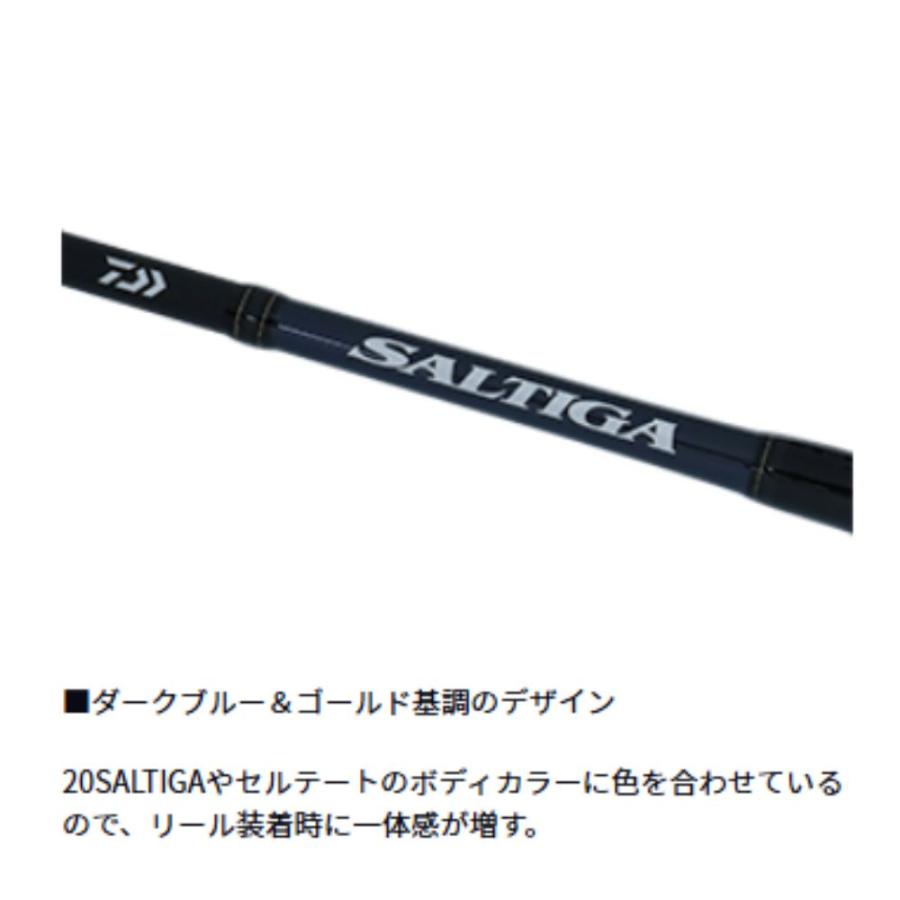 DAIWA（ダイワ） ソルティガ R J60S-3 HI スピニングロッド ジギング