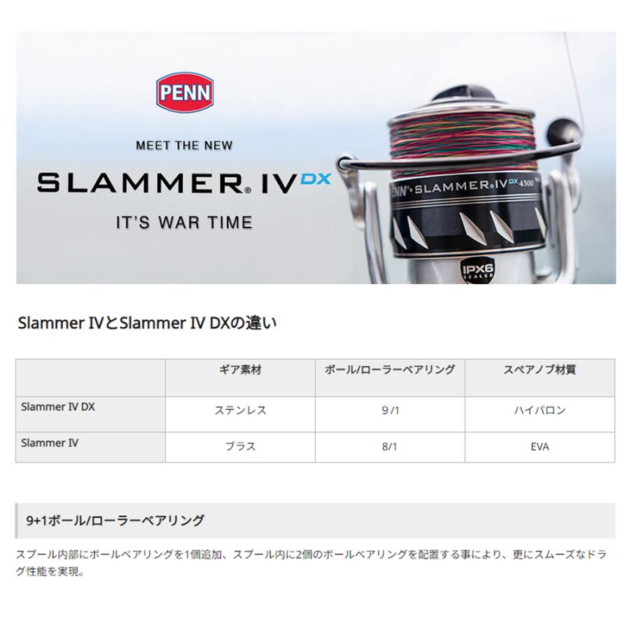 Penn（ペン） 決算セール スラマー IV 6500 DX 送料無料 : ますびと