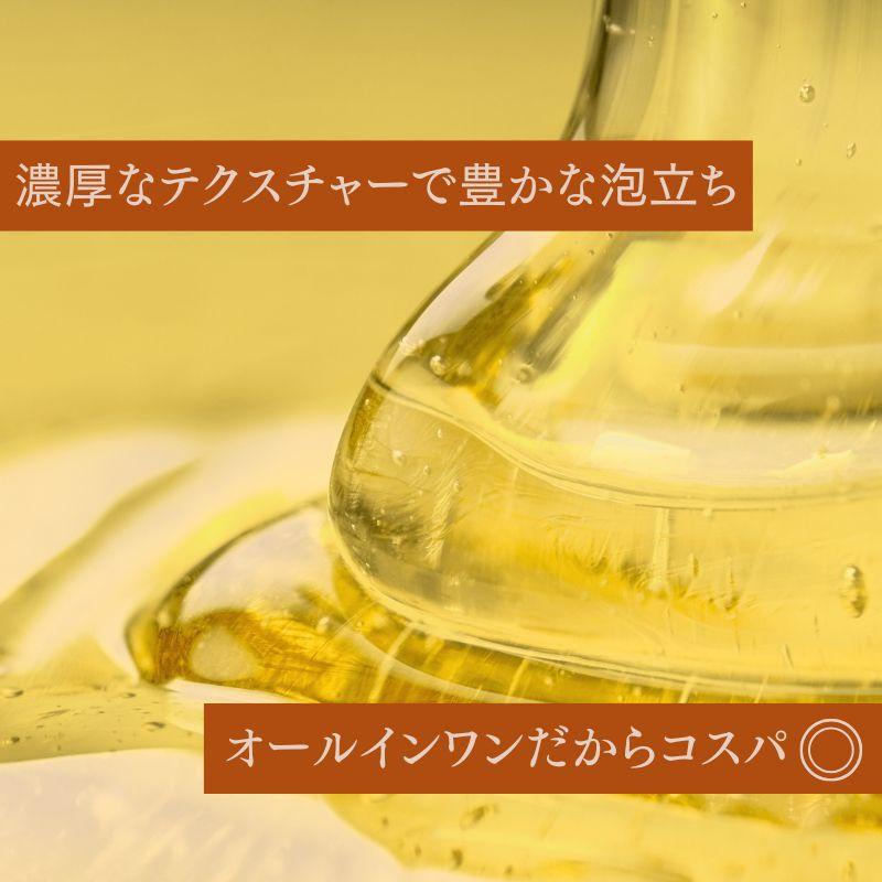 シャンプー 詰め替え パウチ【公式】 ノ・アルフレ あすなろわかさ