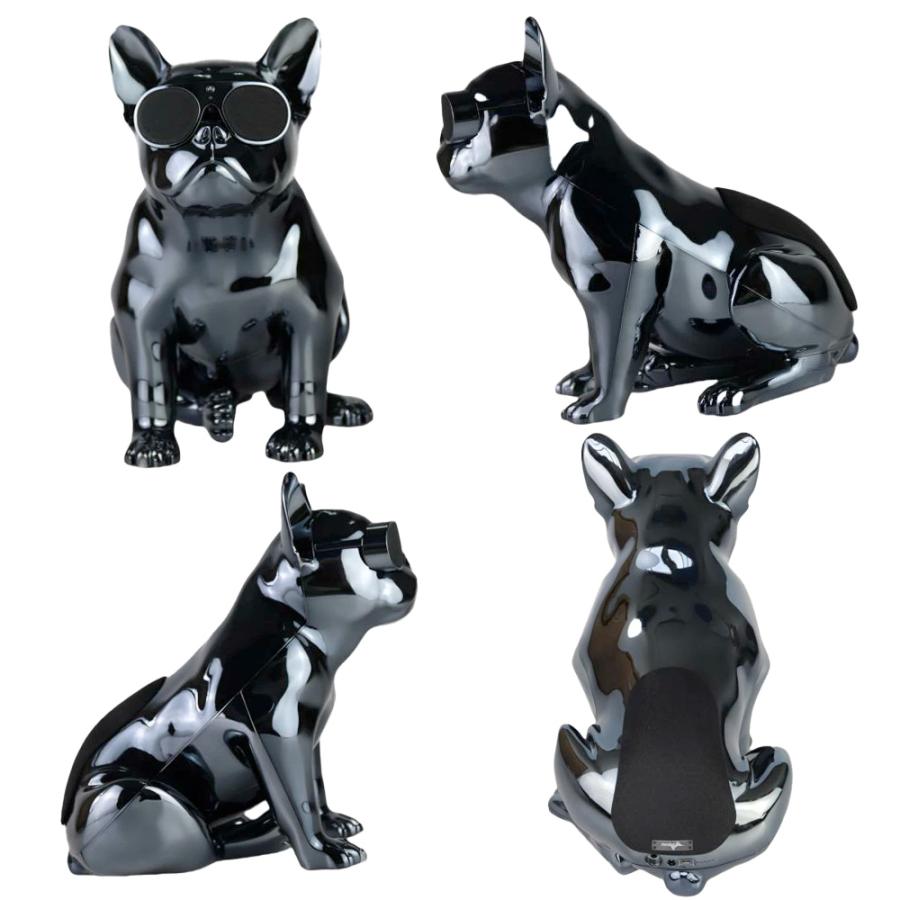 Aerobull ワイヤレス スピーカー XS1 (クロームブラック) 【国内正規品