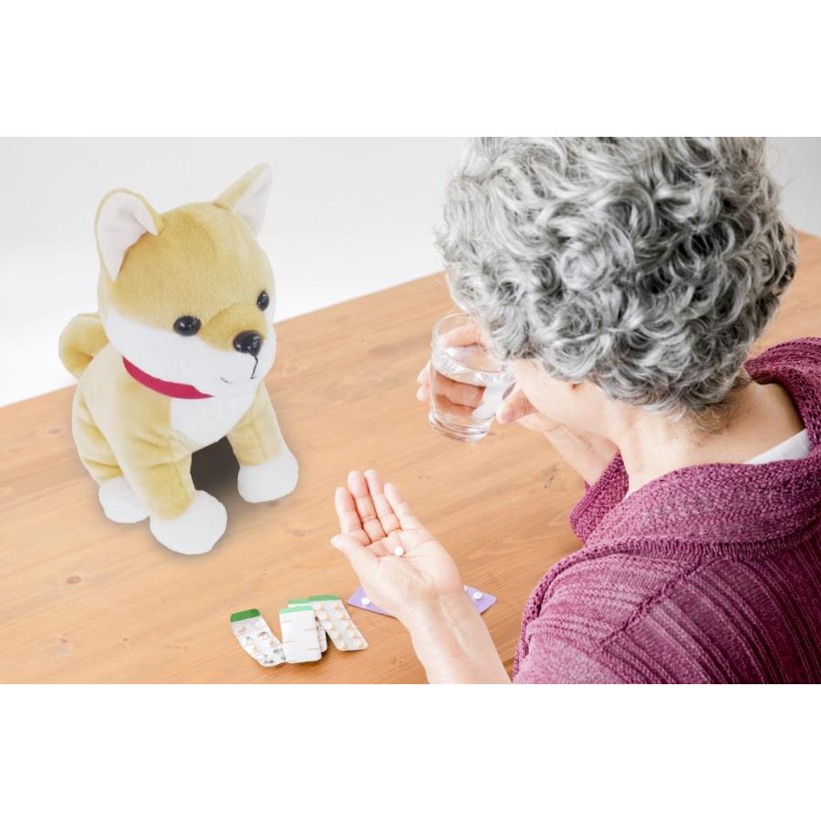 時間だよ！おしらせとうばん しば 柴犬型 MC-U01-DG 群馬電機 : 介護