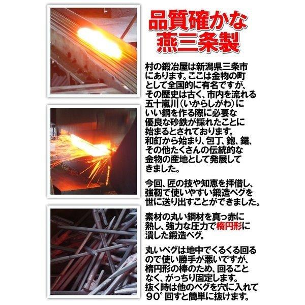 村の鍛冶屋 鍛造ペグ エリッゼステーク 28cm 8本セット 黒カチオン電着