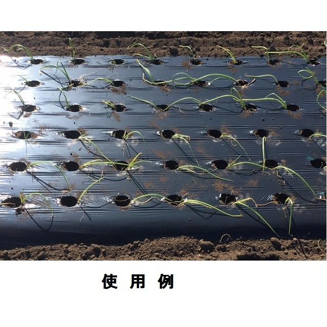 農業用マルチシート 黒ホールマルチ 厚さ0.02mm×幅130cm×長さ200m×孔