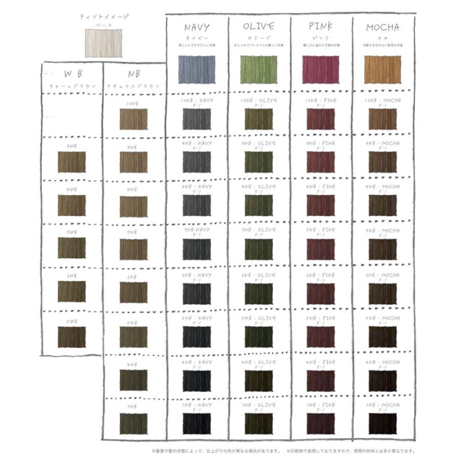 MEiRY リアル化学 メイリー セゼ クロス ベースカラー NB ナチュラル