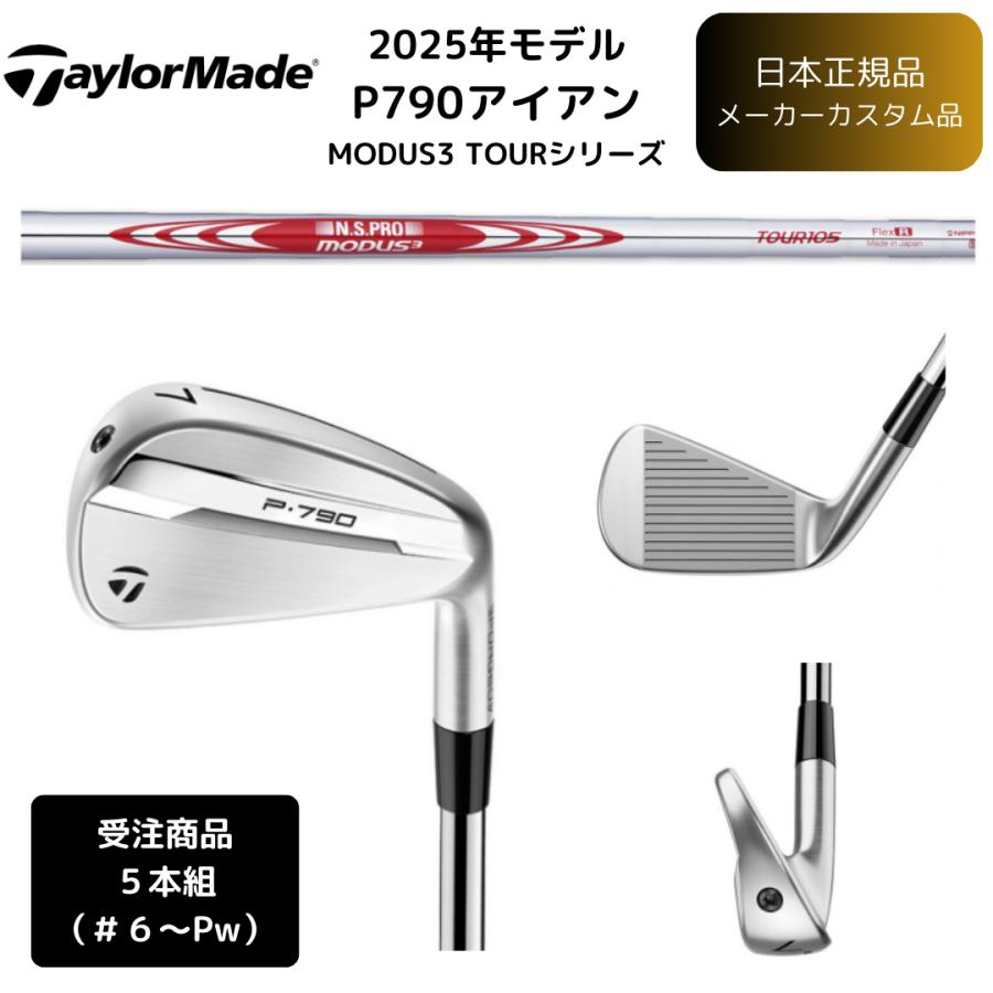 TaylorMade（テーラーメイド） 【受注商品】2025最新 P790 アイアン 6