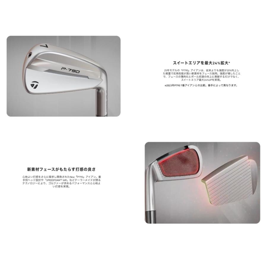 TaylorMade（テーラーメイド） 【受注商品】2025最新 P790 アイアン 6