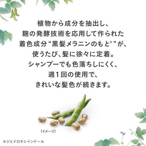 ブローネ ナチュリラ 色長持ちカラートリートメント ブラック つけかえ