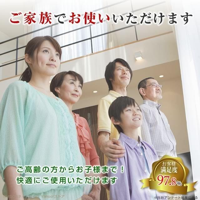 belleforme(ベルフォーマ) 中古 1年保証 EMS機器 テクノリンク : 健康