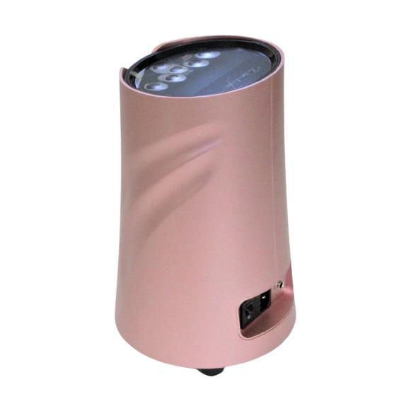 リタライフ Lita life (水素風呂) ピンクゴールド Heart International