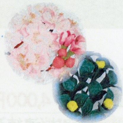 雛まつり☆御花単品☆桜橘醍醐自然木8号(高さ13cm)☆京都御所に