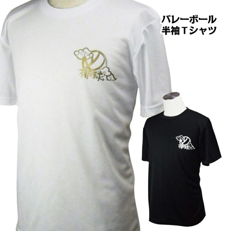 バレー 練習着 半袖 メンズ ドライ Tシャツ 男性 女性 バレーボール