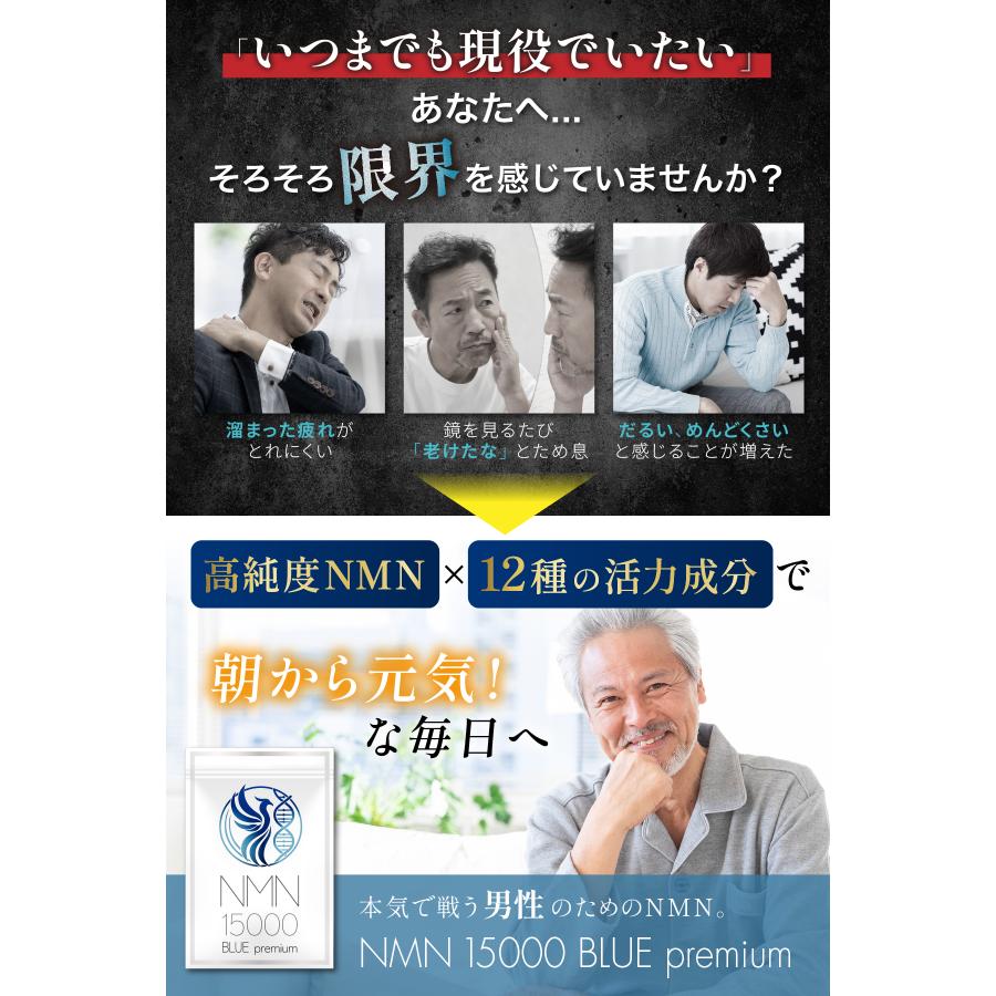 NMN サプリメント 15000mg 【医師監修xNMN含有量保証】 国内産 β-NMN