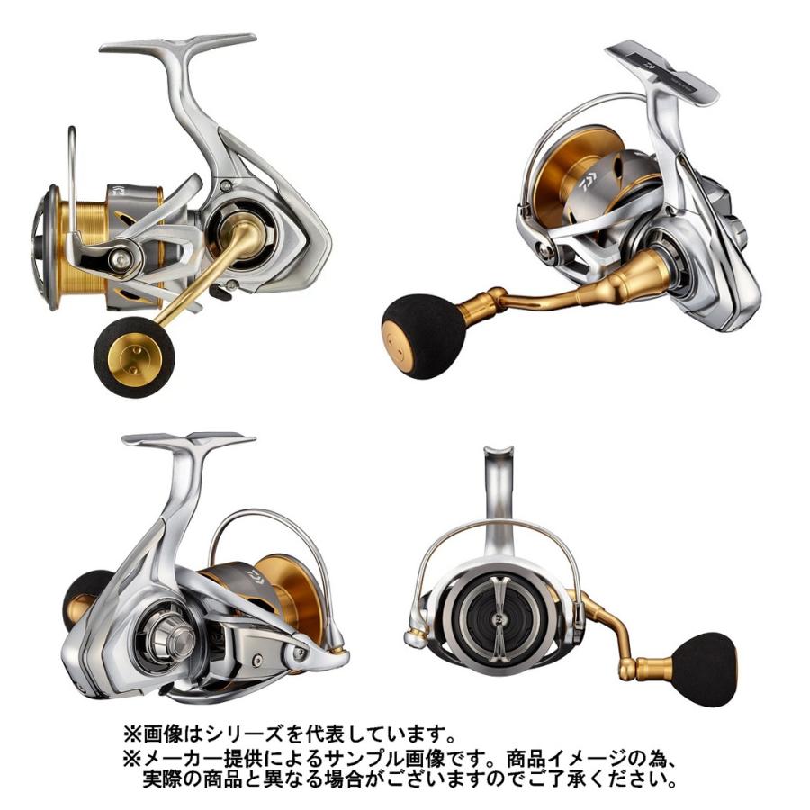 DAIWA（ダイワ） '21 FREAMS(フリームス) LT 4000-CXH (スピニング