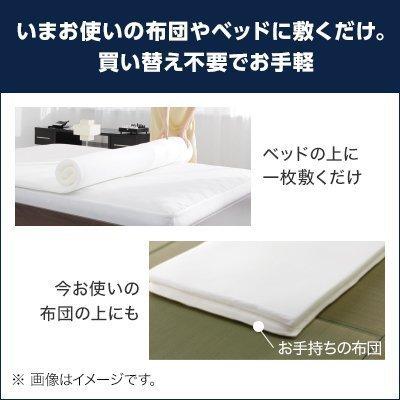 トゥルースリーパー（True Sleeper） プレミアム ダブル 送料無料