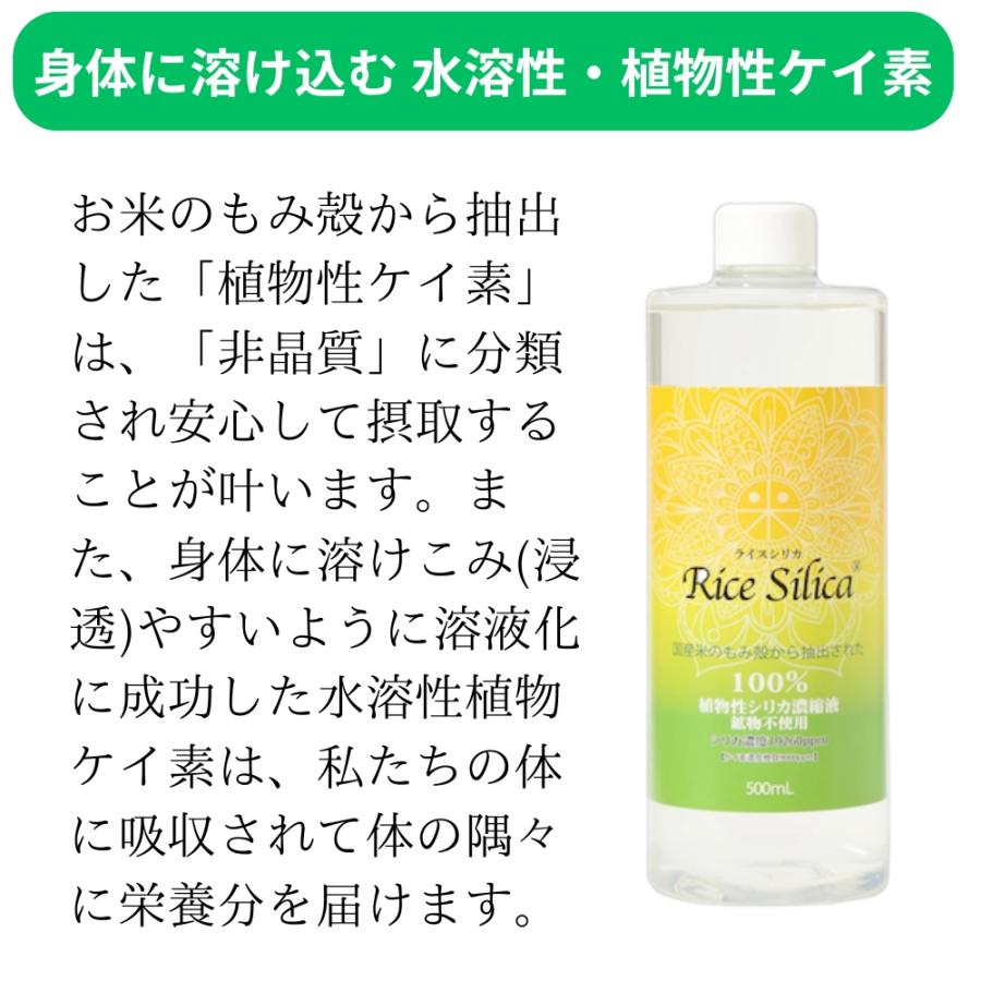 ライスシリカ ケイ素 ケイ素濃縮液 シリカ シリカ濃縮液 シリカ水