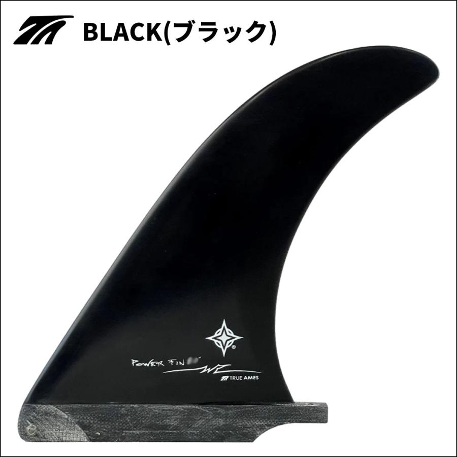 TRUE AMES トゥルーアムス フィン WayneRichPower 9.0