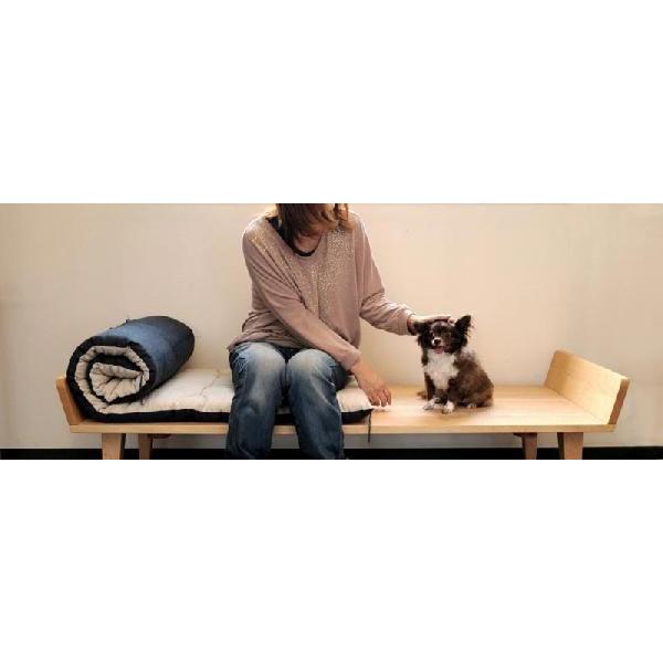 cosine（コサイン） (プレゼント付) ソファ お昼寝ソファ メープル SO