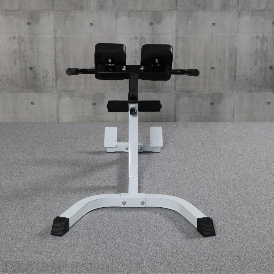 IROTEC（アイロテック） [3/8はPアップ] NEWハイパーバックエクス