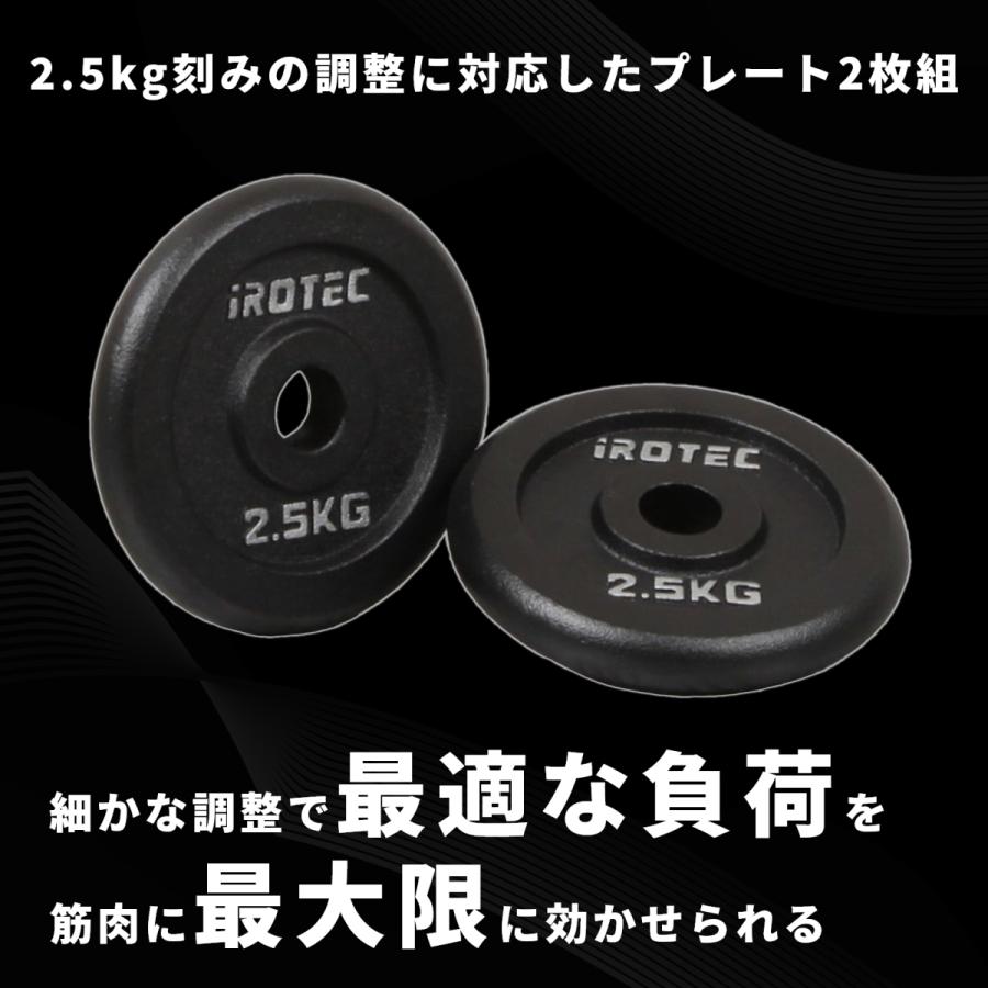 IROTEC（アイロテック） バーベル プレート アイアンプレート2.5KG [2
