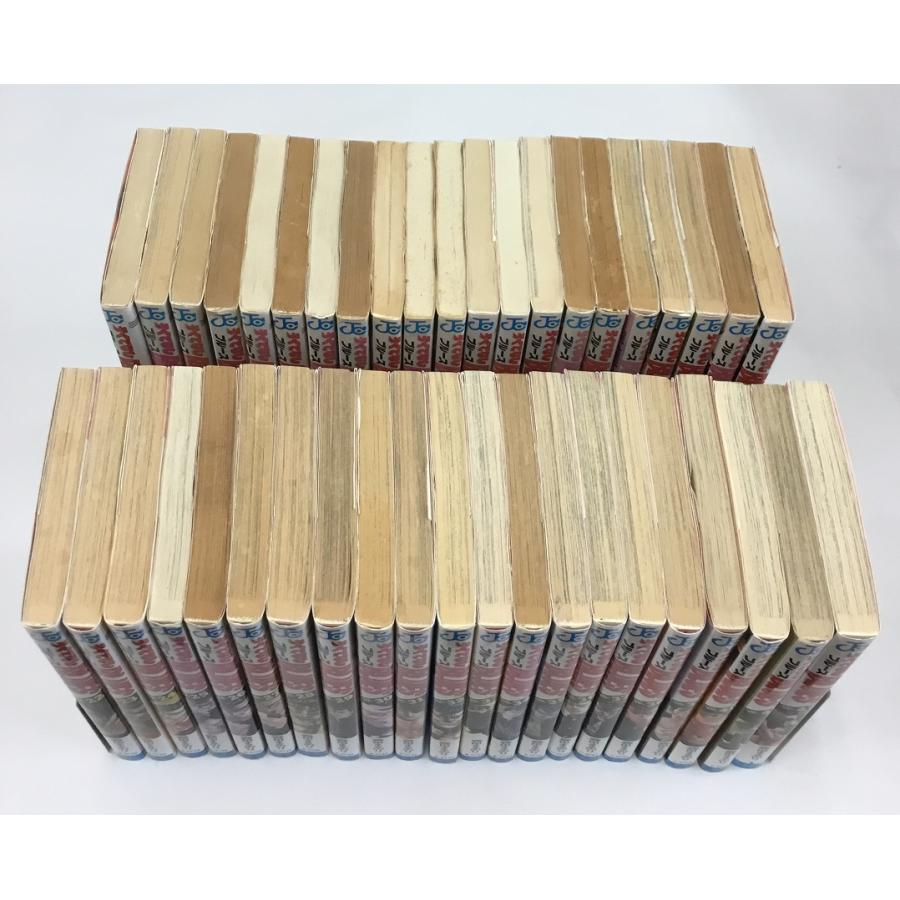 ろくでなしブルース ろくでなしBLUES 全42巻 + バチあたりロック 柴犬