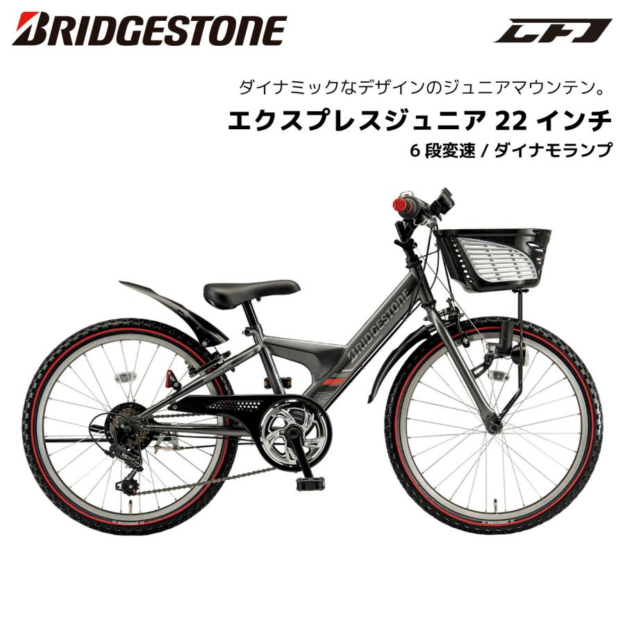 BRIDGESTONE（ブリヂストン） 子供用自転車 エクスプレスジュニア 22