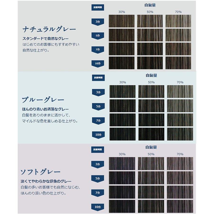 hoyu（ホーユー） カレンシアカラー ナチュラルグレー 80g 白髪ぼかし