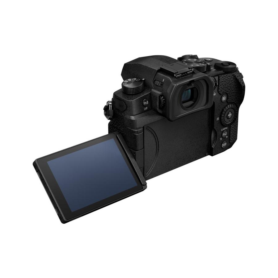 LUMIX Gシリーズ 公式店 パナソニック デジタル一眼カメラ DC-G99M2