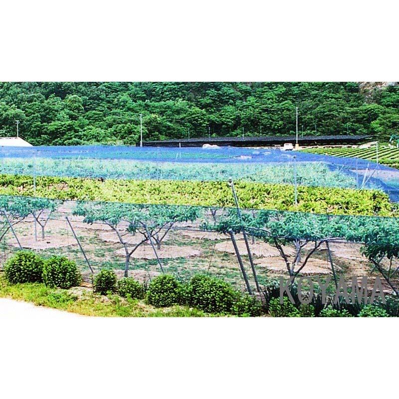 国産 防鳥網 36m×54m 600坪 30mm 目合 1000デニール ブルー 防鳥ネット