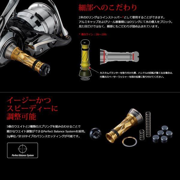 リブレ カスタムバランサー タイプ2 C1Type #チタン/チタン 【メール便