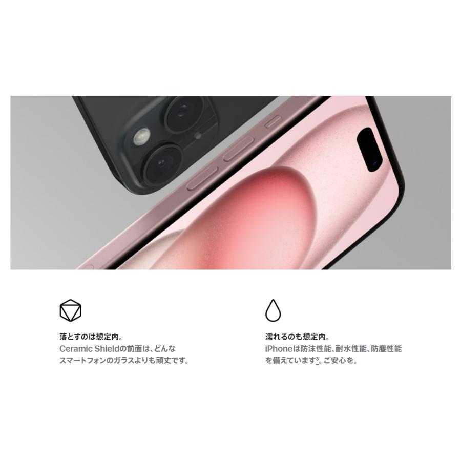 iPhone 15 Plus 「新品 未開封品 」SIMフリー iPhone15 256GB ブラック
