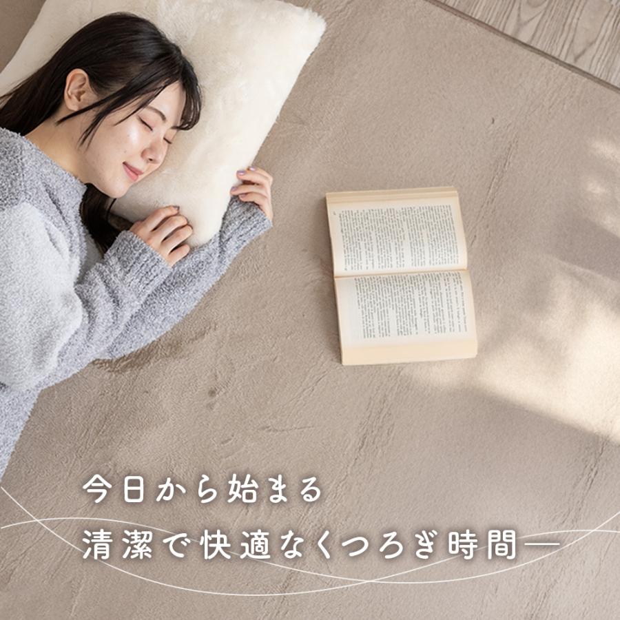 Sylphease（シルフィーズ） ラグ 135×185cm 洗える 1.5畳 抗菌 防ダニ