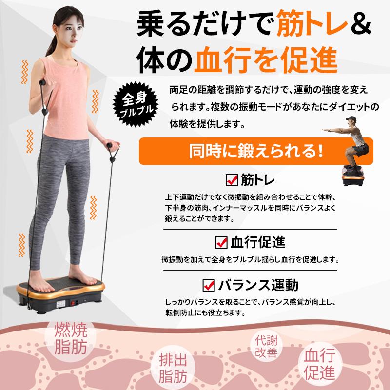 AORTD 振動マシン 最新型モデル バランスウェーブ ステッパー