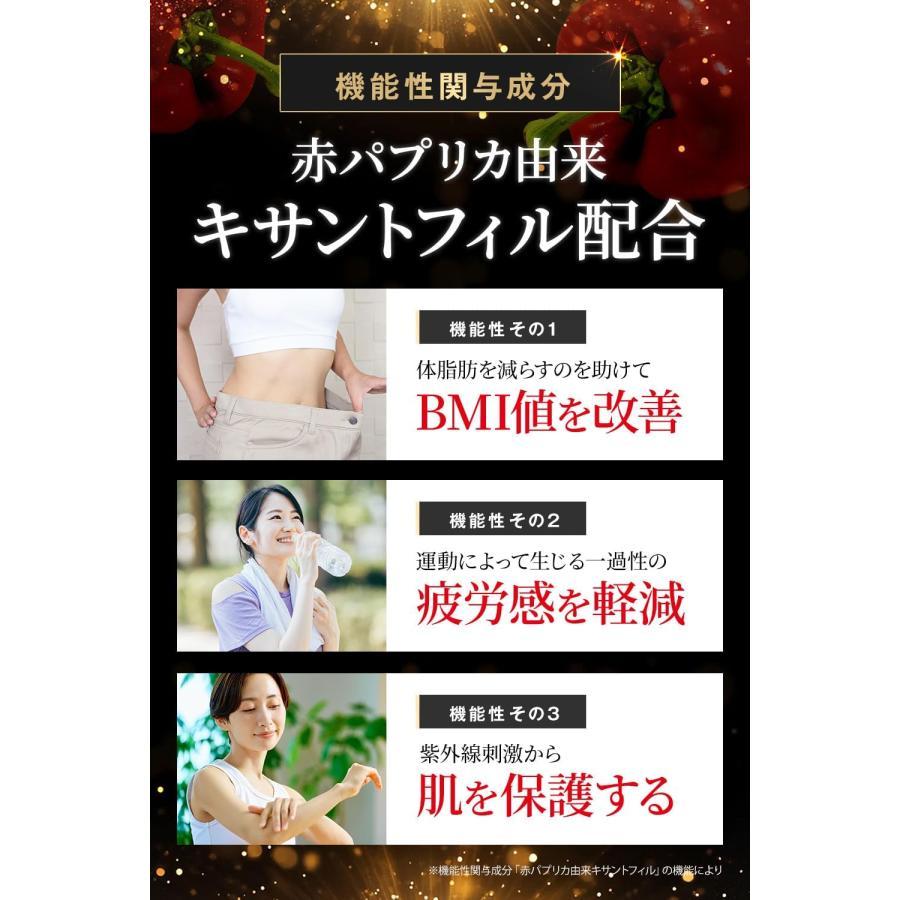 明治薬品 公式 シボラナイトプレミアム 30日分 3袋（計90日分