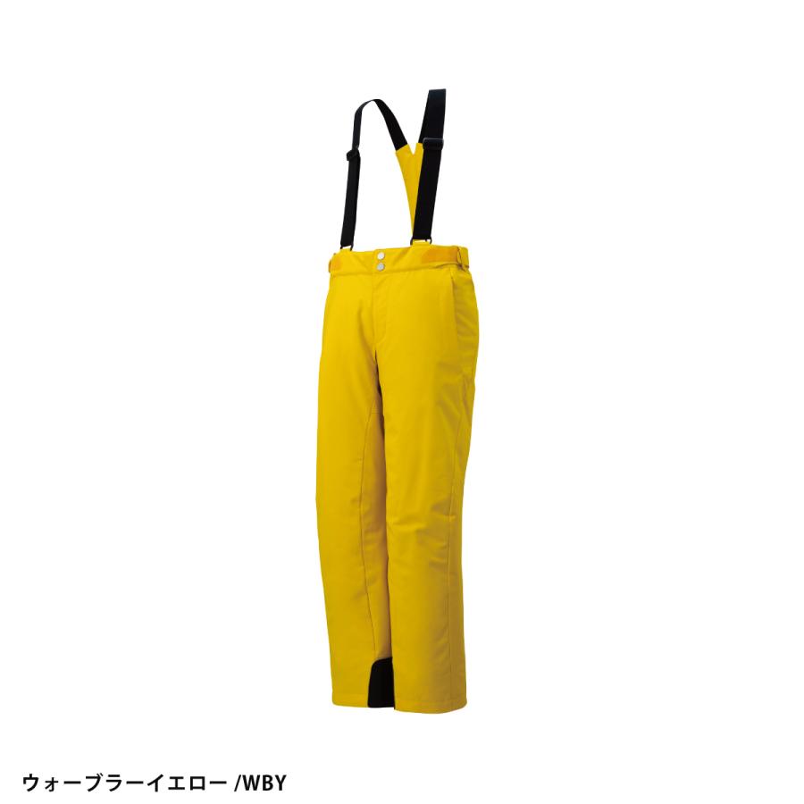 DESCENTE（デサント） スキーウェア スキーパンツ パンツ メンズ