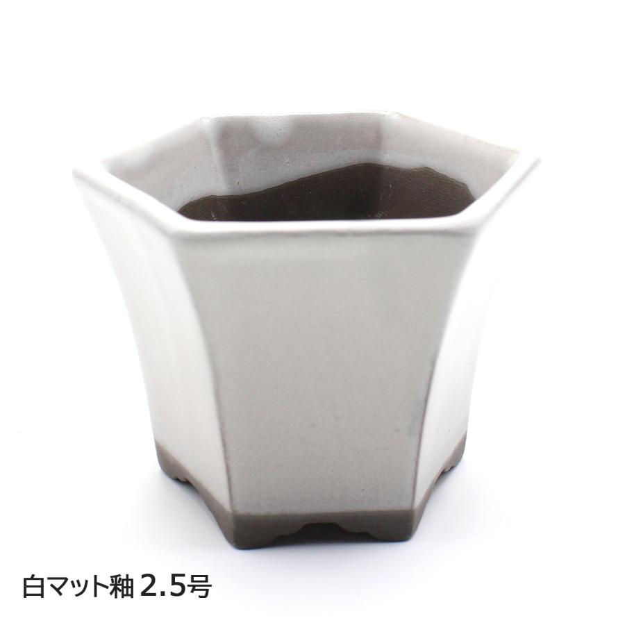 盆栽鉢 2号クラス ミニ 六角反鉢 懸崖 小鉢 瀬戸焼 2.5号 深型 陶器 約
