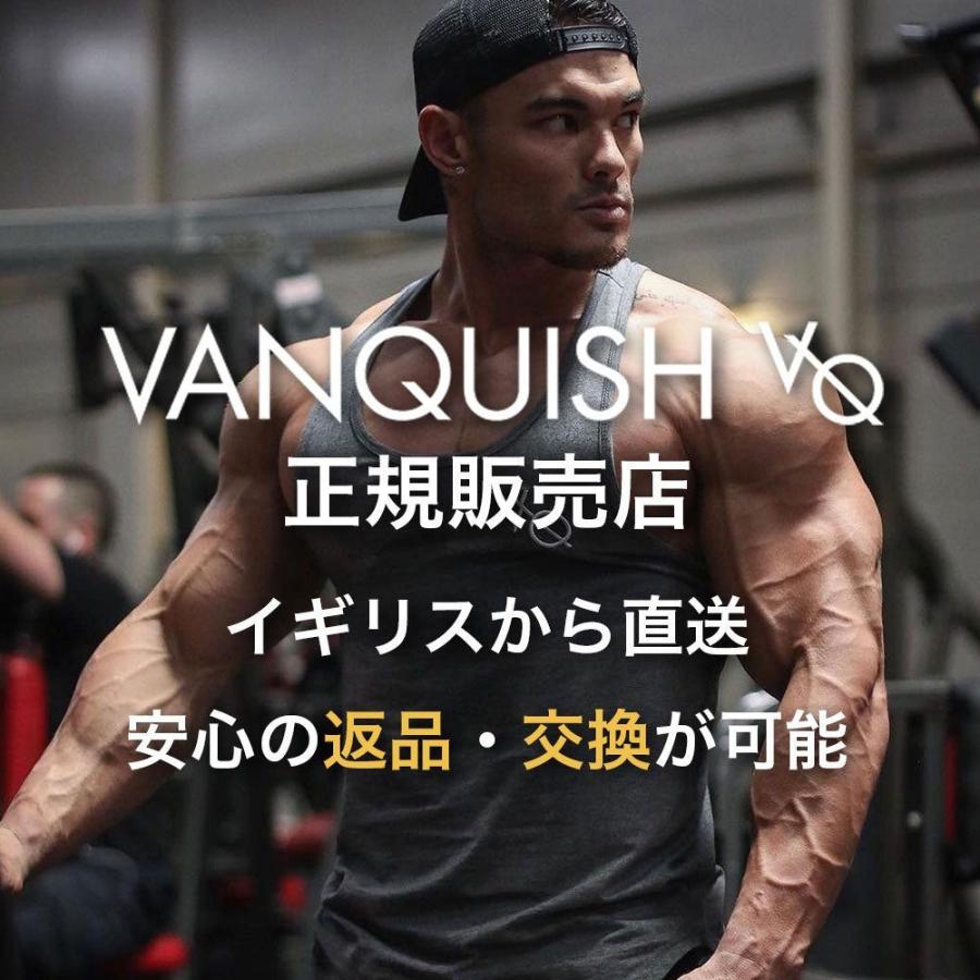 VANQUISH（ヴァンキッシュ） VANQUISH FITNESS 正規品 メンズ