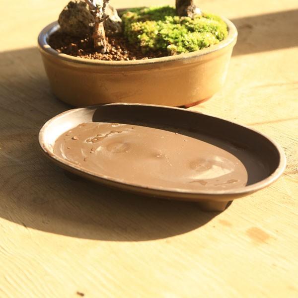 盆栽受け皿：足付楕円型 8号*資材 : 遊恵盆栽 Yahoo!店 - 通販 - Yahoo
