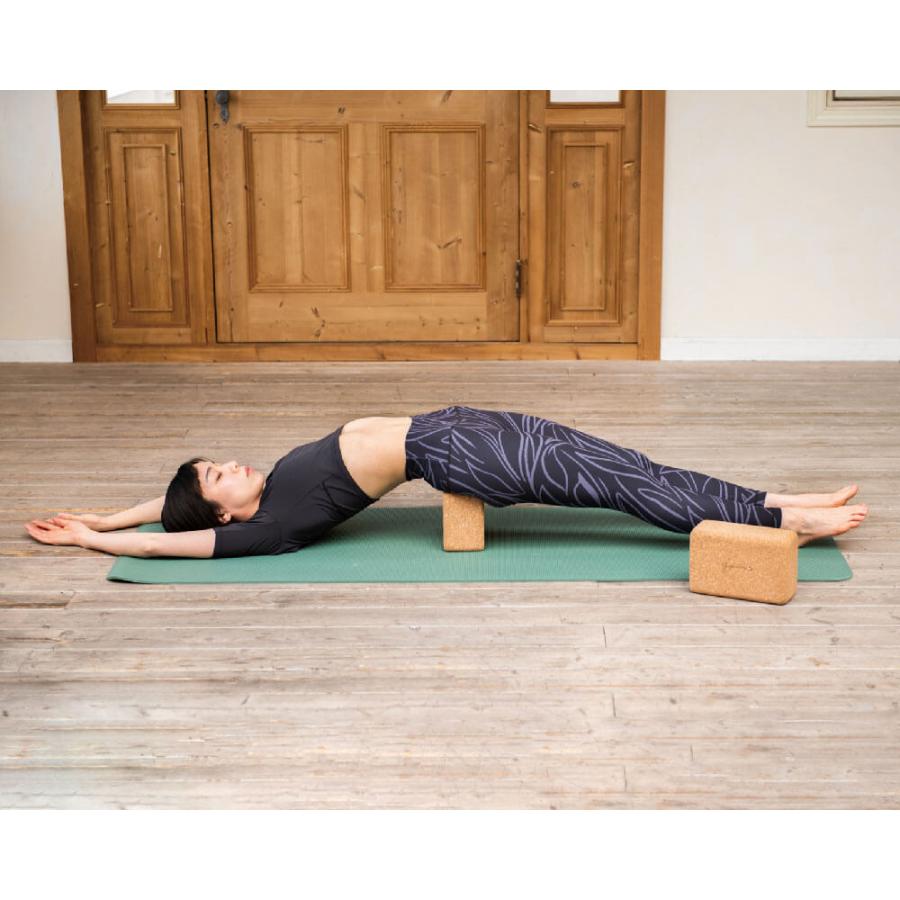 ヨガワークス ヨガブロック コルクブロック 2個セット Mサイズ