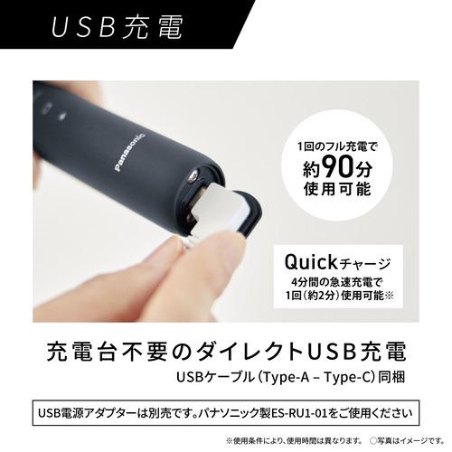 パナソニック EW-DA48-A 音波振動ハブラシ ドルツ リニア音波振動