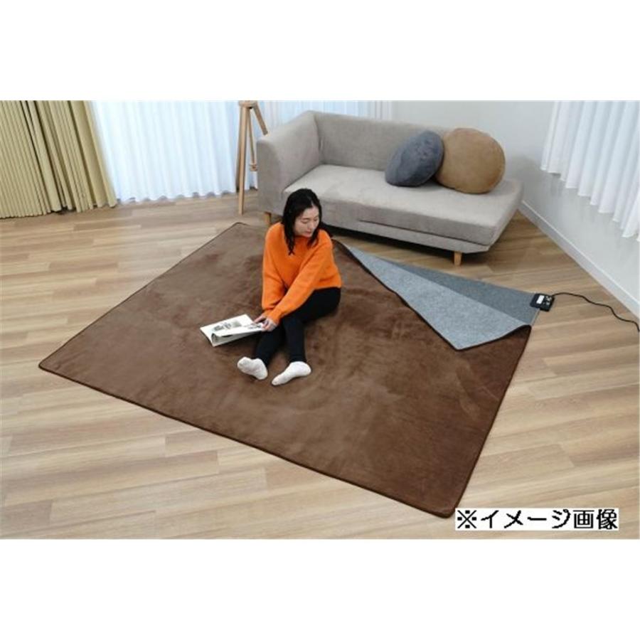 KODEN (広電) 電気カーペット 本体 3畳相当 省エネタイプ 235×176cm