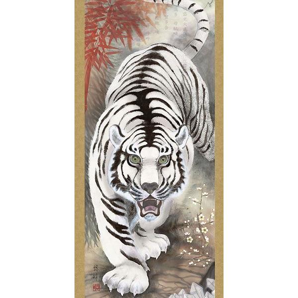 掛軸 (掛け軸) 消災白虎朱竹之図 加納悠峰 （尺三立・桐箱入り）約横