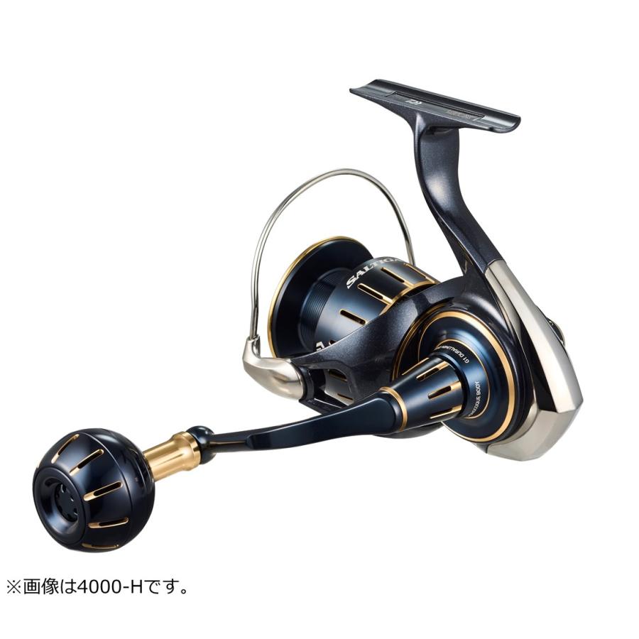DAIWA（ダイワ） 23ソルティガ 4000-XH【2023年新製品】 : つり具の